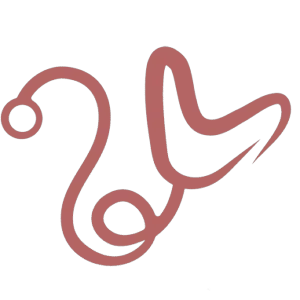 Logotipo da empresa PRINCIPIA