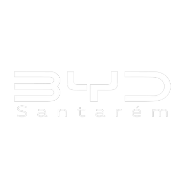 Logotipo da empresa BYD SANTAREM