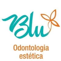 Logotipo da empresa BLUESKY AVIATION