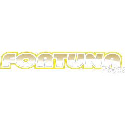 Logotipo da empresa FTS INDUSTRIAL