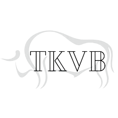 Logotipo da empresa TKVB INDUSTRIA E COMERCIO