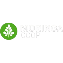 Logotipo da empresa MORINGA COOP
