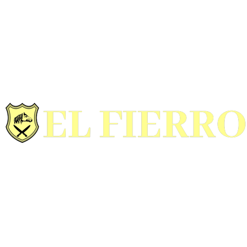 Logotipo da empresa ROOS CUSTOM