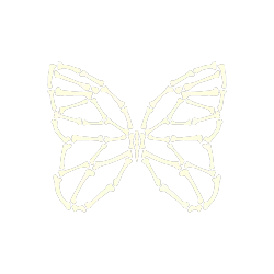 Logotipo da empresa MATEUS TORRES BARBOSA