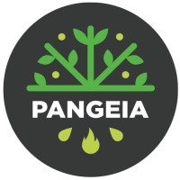Logotipo da empresa A CASA BILINGUE - PANGEIAECO