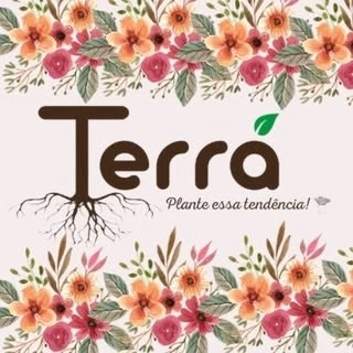 Logotipo da empresa TERRA MODA FEMININA