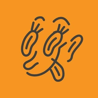 Logotipo da empresa LAMBUSE