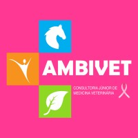 Logotipo da empresa AMBIVET ENERGY LTDA