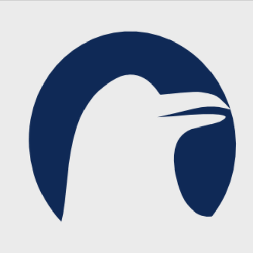 Logotipo da empresa RAVEN CONTABILIDADE