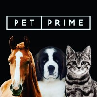 Logotipo da empresa ESPACO PET