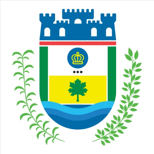 Logotipo da empresa FMDPI