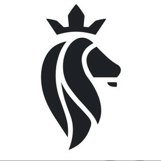 Logotipo da empresa PRV CUSTOM