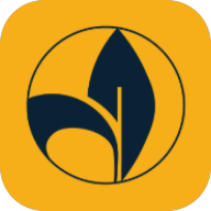 Logotipo da empresa YELLOW SOLO