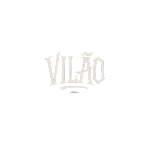 Logotipo da empresa VILAO STORE