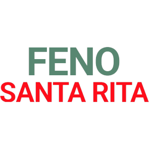 Logotipo da empresa FENO SANTA RITA