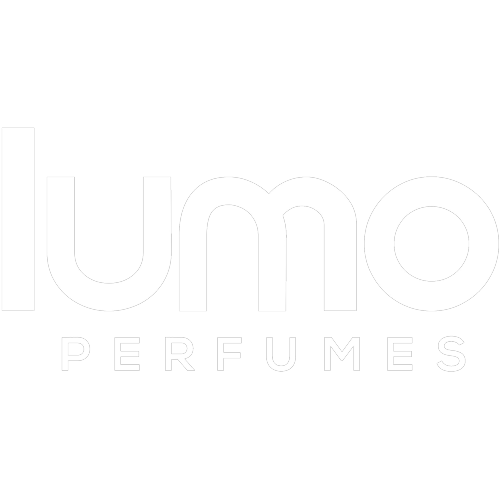 Logotipo da empresa ANDRE LUIS PINTO