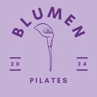 Logotipo da empresa LR BLUMENAU