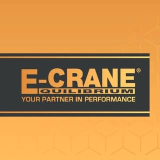 Logotipo da empresa E-CRANE BRASIL LTDA