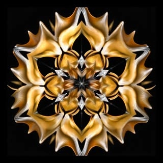 Logotipo da empresa BNOG