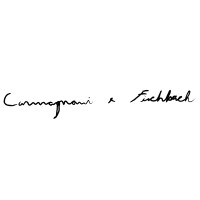 Logotipo da empresa CARMAGNANI & CIA LTDA