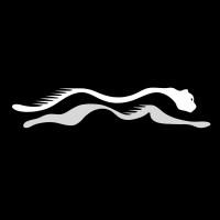 Logotipo da empresa GUEPARDUS