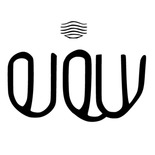 Logotipo da empresa OIOW GLASSES