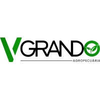 Logotipo da empresa VG FERNANDES
