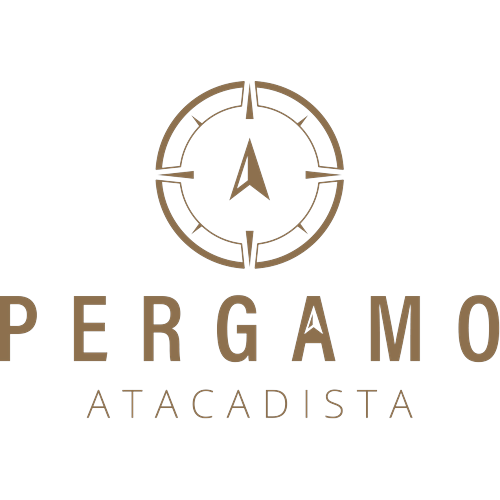 Logotipo da empresa PERGAMO