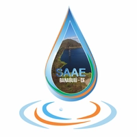 Logotipo da empresa SAAE