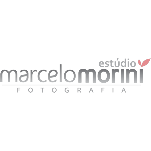 Logotipo da empresa MARCELO HENRIQUE MORINI