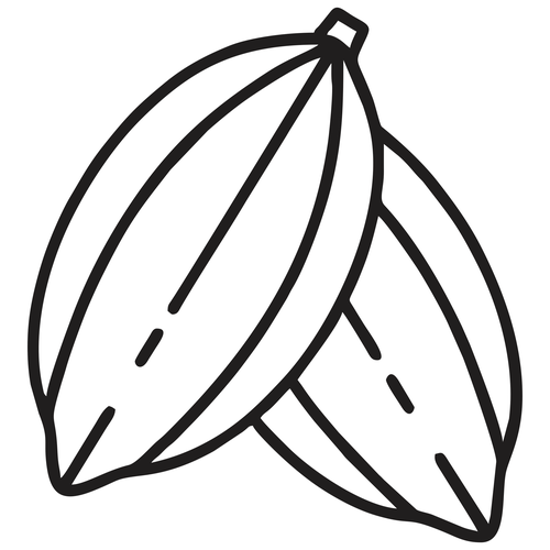 Logotipo da empresa BOOST NATURAL FOODS