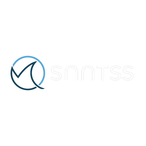 Logotipo da empresa SNNTSS