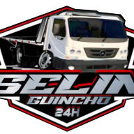 Logotipo da empresa SIDNEY FERREIRA SELIN