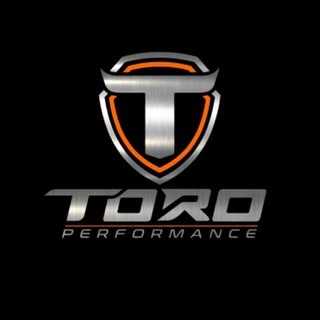 Logotipo da empresa TORO PERFORMANCE BRASIL PARTICIPACOES