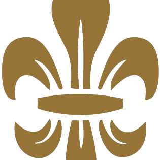 Logotipo da empresa M.F.I EMPREENDIMENTOS