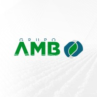 Logotipo da empresa AMB GROUP LTDA