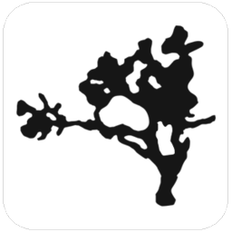 Logotipo da empresa ZANDAIA SERRA