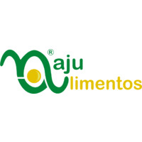 Logotipo da empresa NAJU PARTICIPACOES LTDA