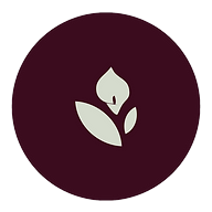 Logotipo da empresa KETHLLEM ASSIS FANTIN