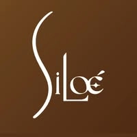 Logotipo da empresa SILOE SERVICOS ADMINISTRATIVOS LTDA