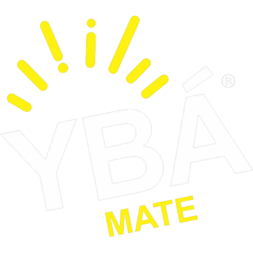Logotipo da empresa YBA COMERCIO E IMPORTACAO LTDA
