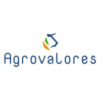 Logotipo da empresa AGROVALORES