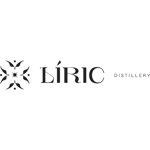 Logotipo da empresa EVOLVERS BR LTDA