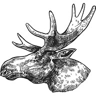 Logotipo da empresa ANTLERS INTERIORS