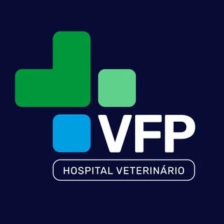 Logotipo da empresa VFP EDUCACAO