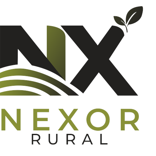Logotipo da empresa NEXOR RURAL