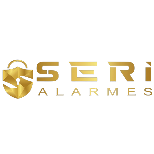 Logotipo da empresa ALEXANDRE SILVA MARTINS