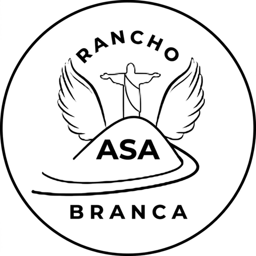 Logotipo da empresa L. MONTEIRO PELINSARI DE FREITAS LTDA