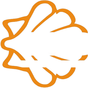 Logotipo da empresa RENAN RIBEIRO E SILVA