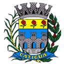 Logotipo da empresa CAMARA DE VEREADORES